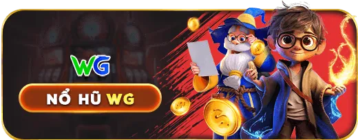 Các tổ chức hỗ trợ chuyên nghiệp